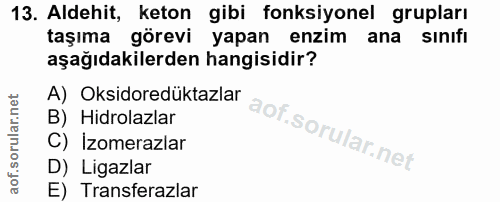 Soru 13