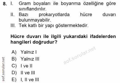 Soru 8
