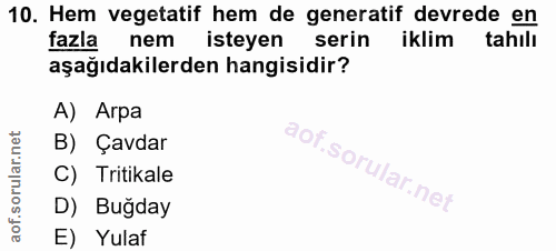 Soru 10