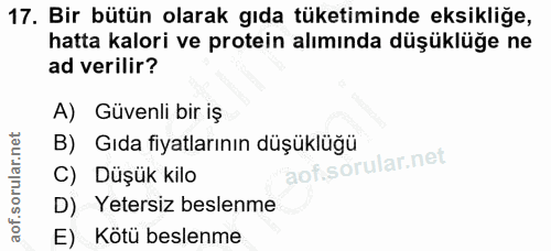 Soru 17
