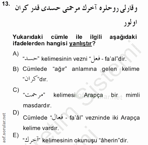 Soru 13