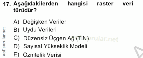 Soru 17