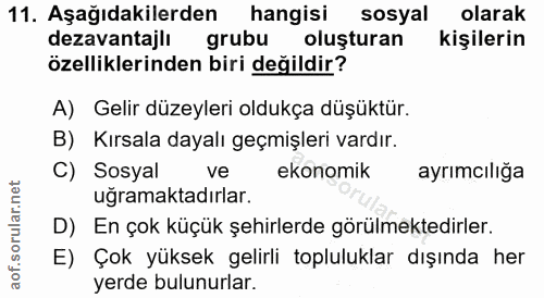 Soru 11