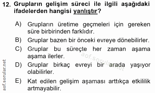 Soru 12