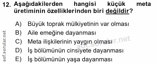 Soru 12