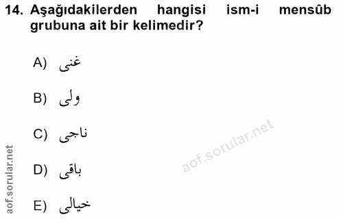 Soru 14