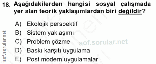 Soru 18