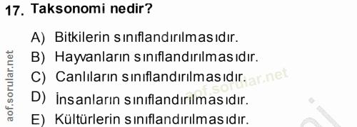 Soru 17