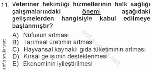 Soru 11