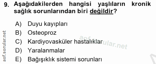 Soru 9
