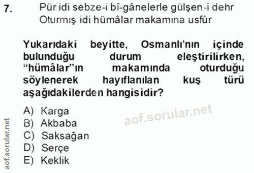 Soru 7