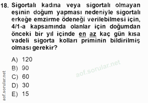 Soru 18