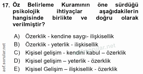 Soru 17