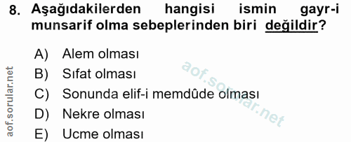 Soru 8