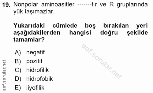 Soru 19