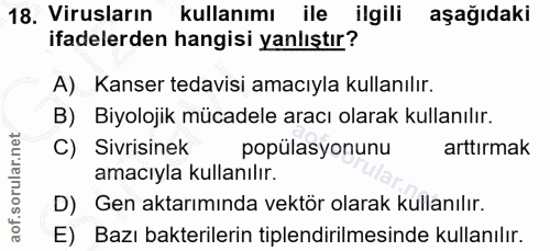Soru 18