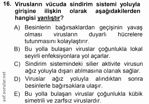Soru 16