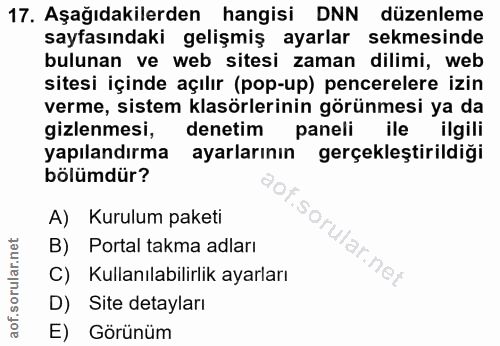 Soru 17