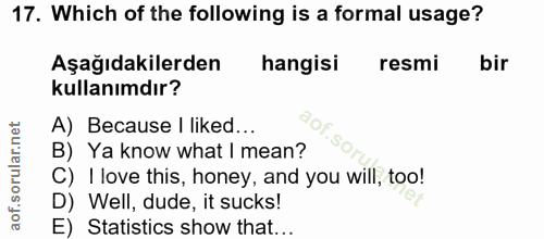 Soru 17