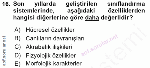 Soru 16