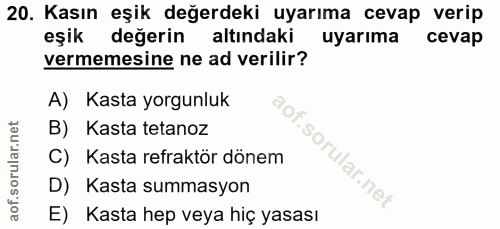 Soru 20