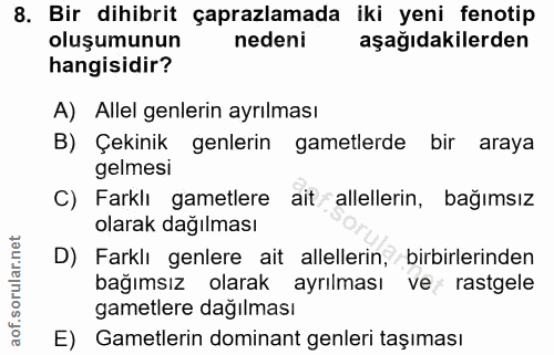 Soru 8