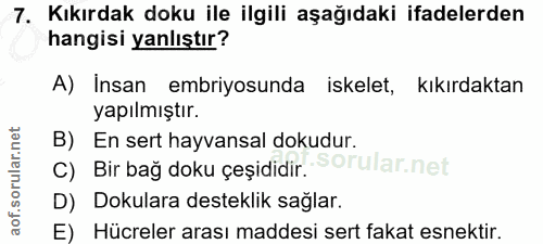 Soru 7