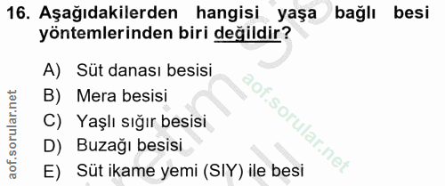 Soru 16