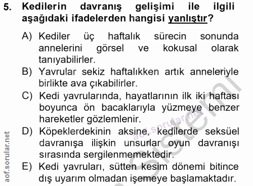 Soru 5