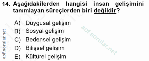 Soru 14