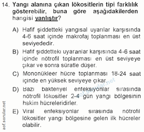 Soru 14
