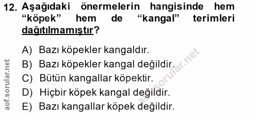 Soru 12