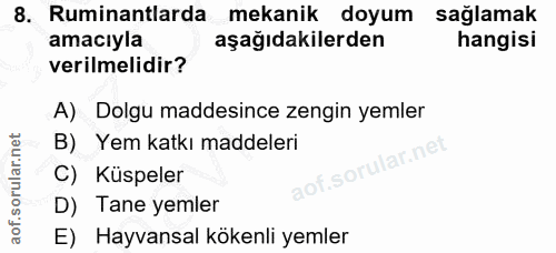 Soru 8