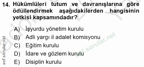 Soru 14