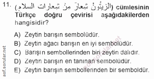 Soru 11
