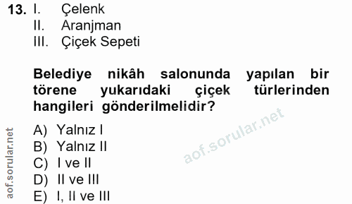 Soru 13