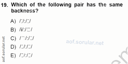 Soru 19