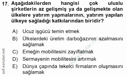 Soru 17