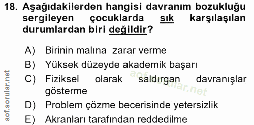 Soru 18