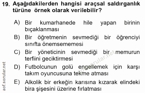 Soru 19