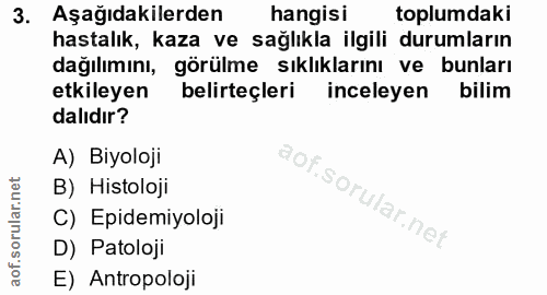 Soru 3