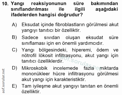 Soru 10