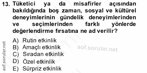 Soru 13
