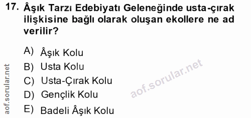 Soru 17