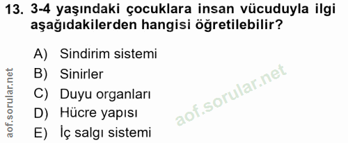 Soru 13