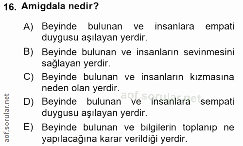 Soru 16