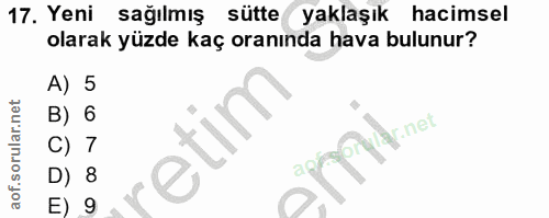 Soru 17