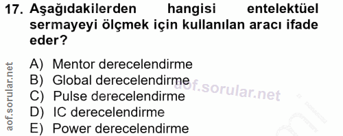 Soru 17