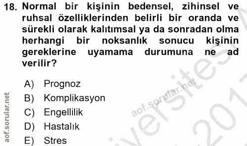 Soru 18