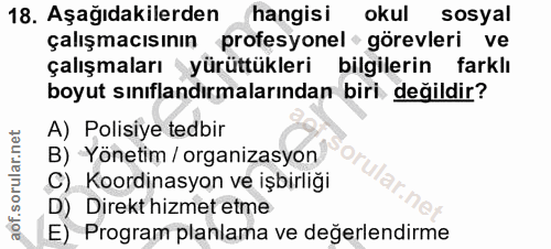 Soru 18
